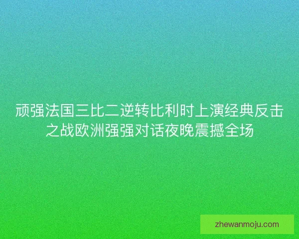 顽强法国三比二逆转比利时上演经典反击之战欧洲强强对话夜晚震撼全场