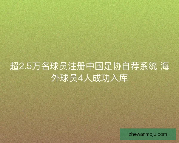 超2.5万名球员注册中国足协自荐系统 海外球员4人成功入库 超2.5万名球员注册中国足协自荐系统 海外球员4人成功入库