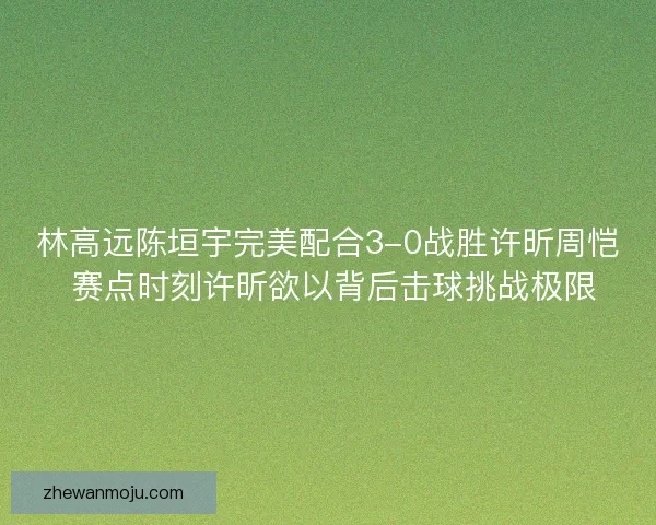 林高远陈垣宇完美配合3-0战胜许昕周恺 赛点时刻许昕欲以背后击球挑战极限
