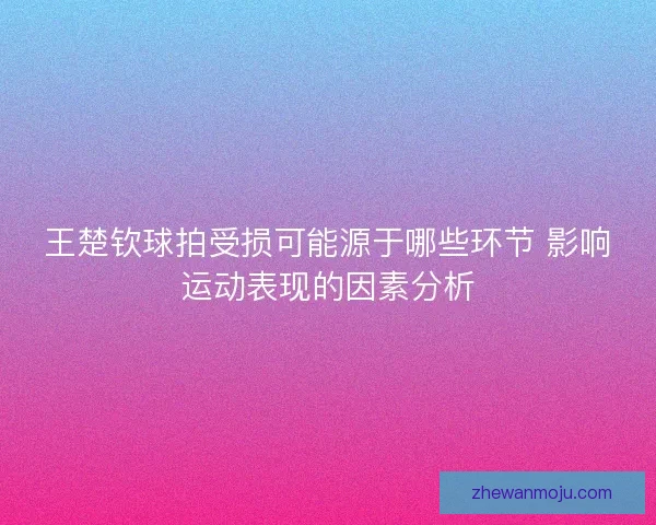 王楚钦球拍受损可能源于哪些环节 影响运动表现的因素分析